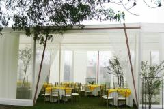Eros-eventos-carpas-12
