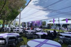 Eros-eventos-carpas-16