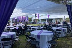 Eros-eventos-carpas-17