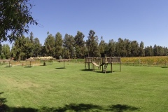 Eros-eventos-paseo-1