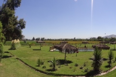 Eros-eventos-paseo-2