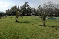 Eros-eventos-paseo-5